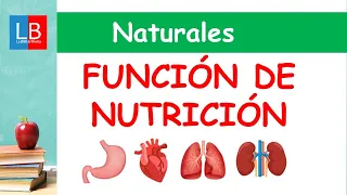 FUNCIÓN de NUTRICIÓN para niños ✔👩‍🏫 PRIMARIA