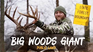Ohio Public Land Big Woods Giant| Video podcast