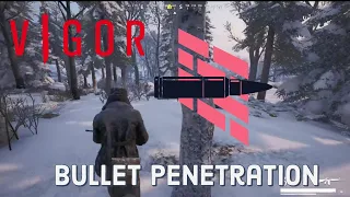 Vigor, How Bullet Penetration Works