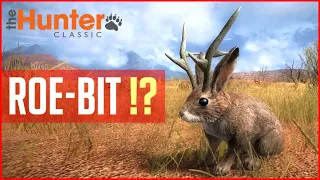 ROE-BIT !? - theHunter Classic