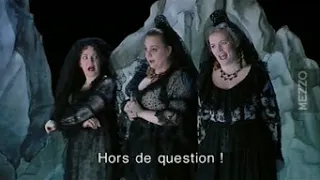 Die Zauberflote | The Magic Flute | La Flauta Magica | l'Opera de Paris 2000