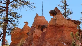 Bryce Canyon Episode 3 Echo Amazing Sceneries through Navajo Loop Trail with ambient and Cinematic M