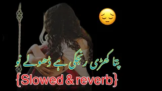 Patani kehri ranjki he dholy nu | 🥀 new saraiki sad songs |🎧 slowed and reverb | #saraiki