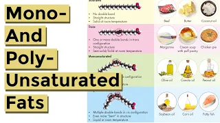 Mono and Polyunsaturated Fat Explained (Made Easy to Understand!)