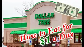 How to Eat For $1 a Day At Dollar Tree | Extreme Grocery Budget Haul & Menu | Budget Challenge