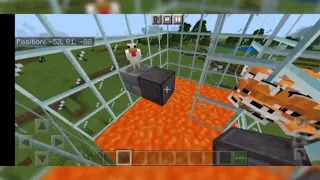 1 chicken vs 100 fox!!!!!!!!!!!!!!wow!!!!!!#funny #shorts #1vs100