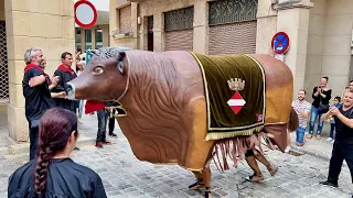 EL BOU Tradicional de Valls al 10è aniversari del CORREBOUS i dels BOUS a Valls (Fira de St. ÚRSULA)