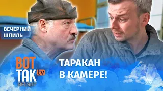 Сторонники Лукашенко попросились в тюрьму! / Вечерний шпиль