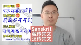 纯干货：一个视频让你彻底了解“梵文”，学会区分梵语种类 A thorough understanding of "Sanskrit" and learn to distinguish them