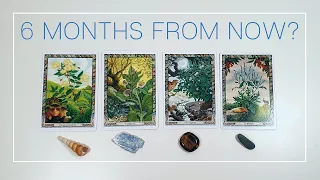 🔮 Pick a Card Reading SIX months from now 🌟