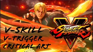 Como Usar o V-Skill,V-Trigger e Critical Art - Street Fighter 5