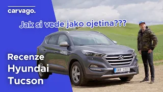 Ojetý Hyundai Tucson? Jedině v plné výbavě!