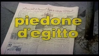 Piedone Egyiptomban 'HD1080p' Minta