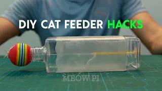 DIY Simple Cat Feeder - Life Hacks For Cat