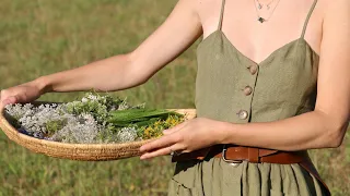 Mes livres sur les plantes médicinales et la cueillette sauvage | + quelques conseils