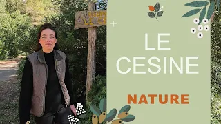 Le Cesine - Nature ep 1 - Renting in Puglia