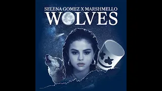 【10 Hours】Selena Gomez – Wolves (Original Audio)