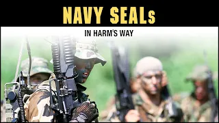 Navy SEALs: In Harms Way