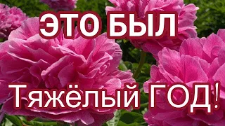 Коллектив нашего питомника / Сад Ворошиловой