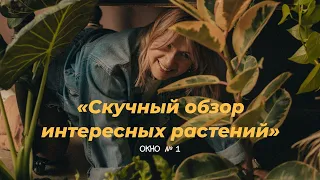 Скучный обзор интересных растений