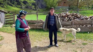 Hard Life of a Family in a Mountain Village in Turkey. Village life. Documentary