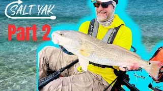 Trout, Redfish, and Snook for an inshore slam! Artificials, Live Bait, They ate everything!