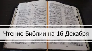 Чтение Библии на 16 Декабря: Притчи 17, Послание Евреям 11, Иов 11, 12