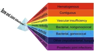 Overview of Bone and Joint Infections - Yanina Pasikhova, PharmD