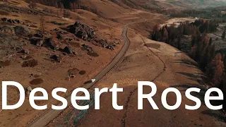 Desert Rose cover song duet version