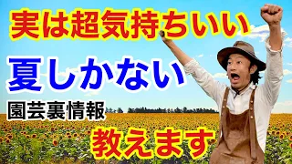 【2021年7月】園芸裏情報解禁します【カーメン君】【園芸】【ガーデニング】【初心者】