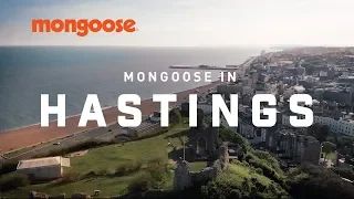 Mongoose in Hastings