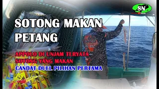 CANDAT SOTONG🦑 Sotong Torok agresif di unjam.Candat duel pilihan pertama