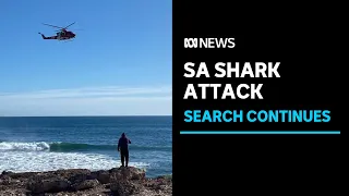 Surfer missing after shark attack near Elliston, SA | ABC News