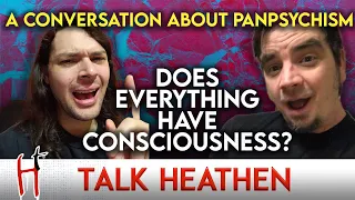 Patrick-FL | Panpsychism And Panprotopsychism | Talk Heathen 06.32