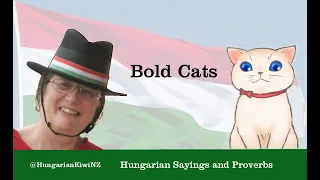 Hungarian Sayings - Bold cats?