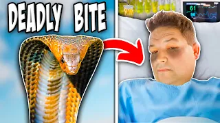 Man Almost Dies From Venomous Snake Bite! His Story!