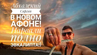 Освоил пилькеры по саргану! Абхазия Новый Афон!