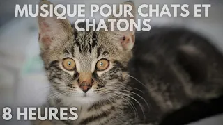 #108🐱 Musique pour chats et chatons-musique relaxante pour dormir les chats ♫ 8 heures