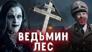 ✞ ВЕДЬМИН ЛЕС ✞ страшилка на ночь ✞ истории о ведьмах ✞ Salem