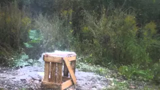 Стрельба из рогатки в баллончик монтажной пены. Shooting from a slingshot into spray foam