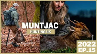 HUNTING MUNTJAC in the UK 💥Who´s buck is bigger? 💥 UNITED KINGDOM HUNTING Opportunities [2022 EP.15]