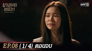 บางกอกคณิกา EP.08 (1/4) ตอนจบ | 30 พ.ค. 67 | one31