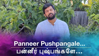 QUARANTINE FROM REALITY | PANNEER PUSHPANGALE | AVAL APPADITHAAN | Episode 587