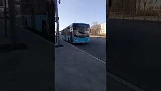 автобус волгабас
