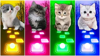 CUTE CATS - WAKA WAKA VS JISOO FLOWER VS DANCE MONKEY VS UNHOLY TILES HOP