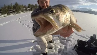 Ice Fishing Lake Trout February 2016