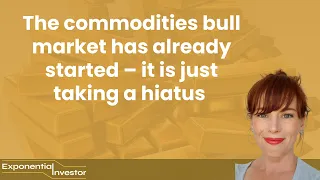 Why there will be a multi-decade commodity bull market | Interview with Rick Rule