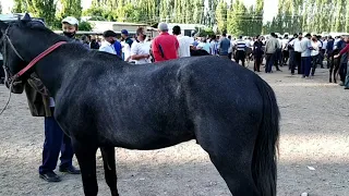 NAMANGAN VILOYATI, POP TUMANIDAGI MOL BOZOR NARXLARI.