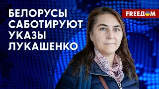 ⚡️ ПАСПОРТ "Новой Беларуси". СУДЬБА "вагнеровцев". Интервью с пресс-секретарем Тихановской