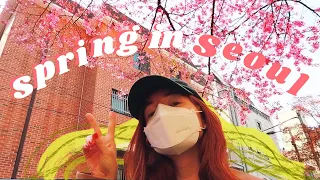 SPRING IS HERE 🌸 a simple week of my life in seoul, korea vlog